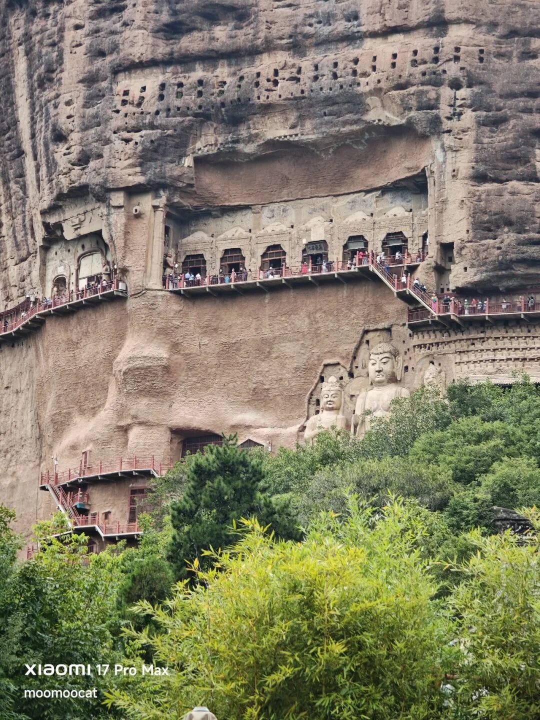 闯祸了